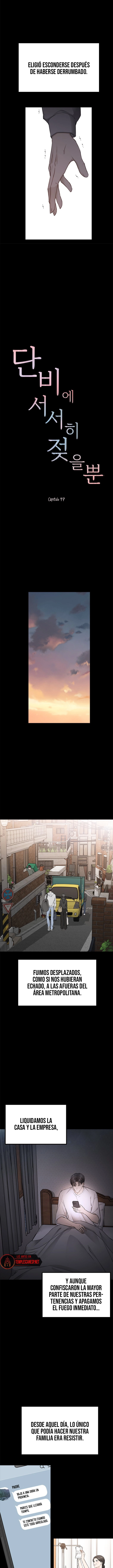 Empapandose Lentamente En La Dulce Lluvia Capítulo 47 - Page 3