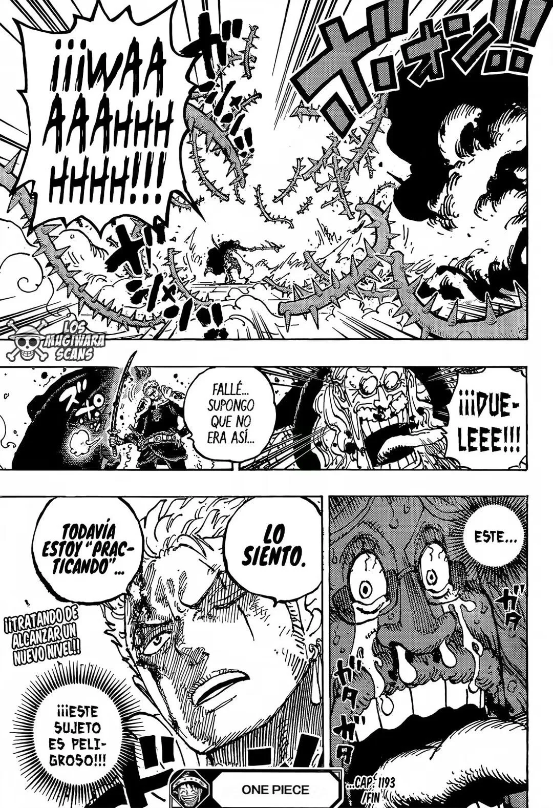 One Piece Capítulo 1193 - Page 17