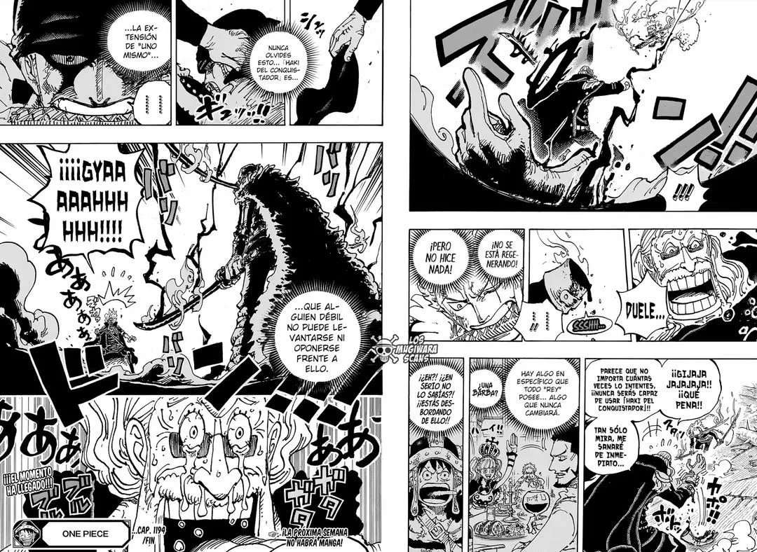 One Piece Capítulo 1194 - Page 13