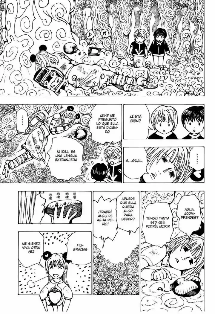 Hunter x Hunter Capítulo 339.1 - Page 10