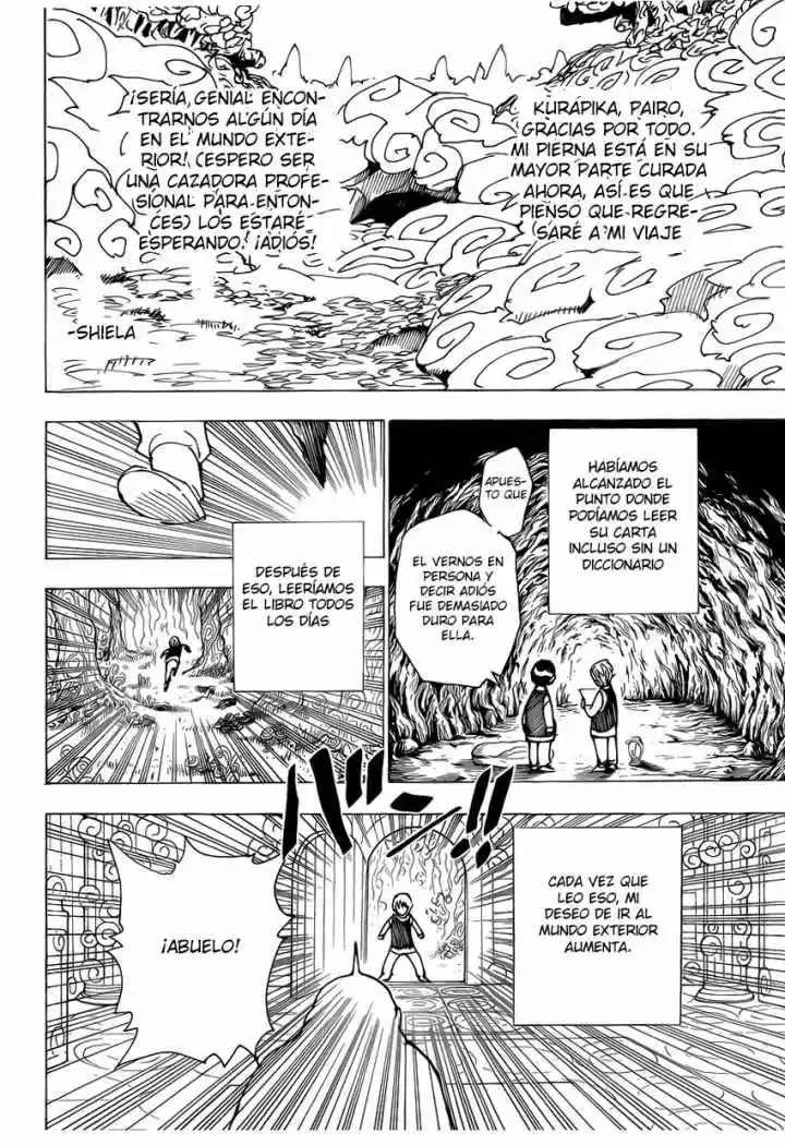 Hunter x Hunter Capítulo 339.1 - Page 14