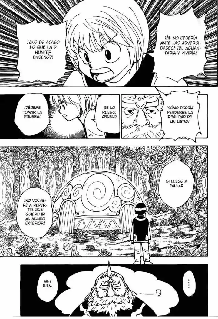 Hunter x Hunter Capítulo 339.1 - Page 17