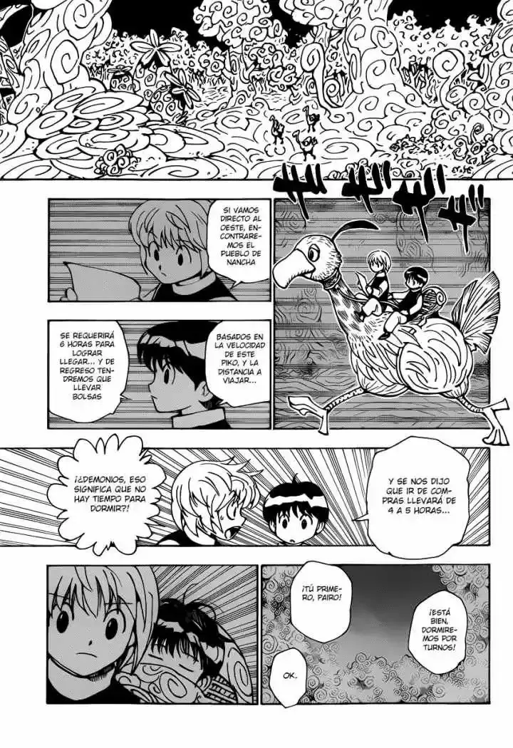 Hunter x Hunter Capítulo 339.1 - Page 29