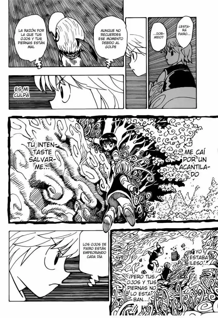 Hunter x Hunter Capítulo 339.1 - Page 30