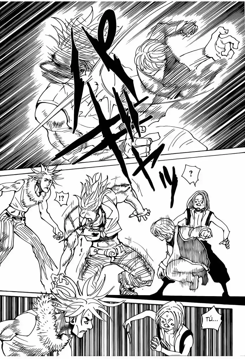 Hunter x Hunter Capítulo 339.2 - Page 17
