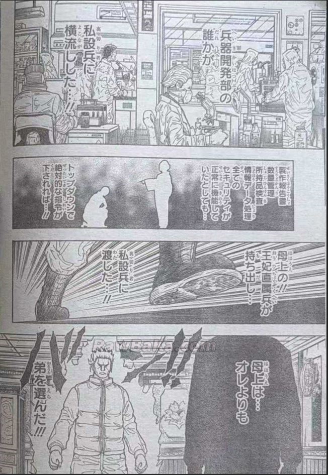 Hunter x Hunter Capítulo 413 - Page 10