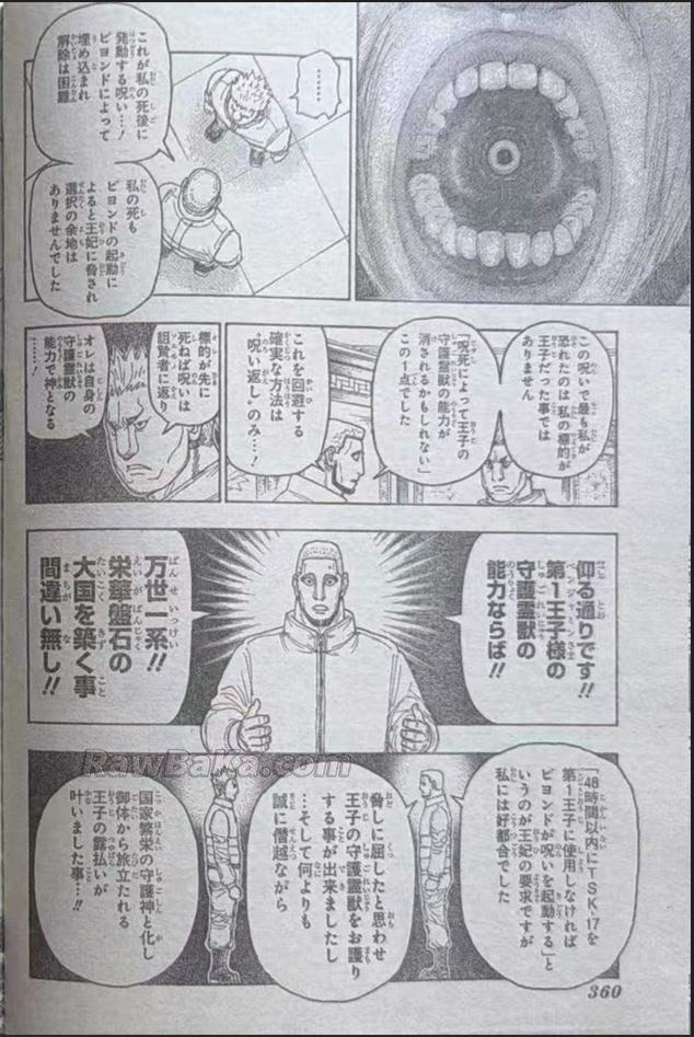Hunter x Hunter Capítulo 413 - Page 12