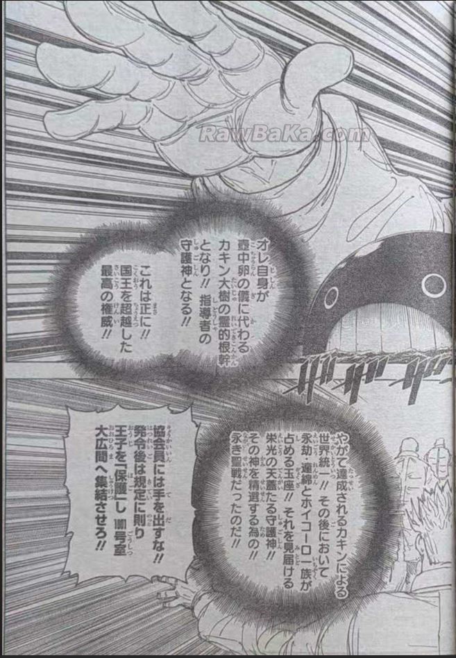 Hunter x Hunter Capítulo 413 - Page 17