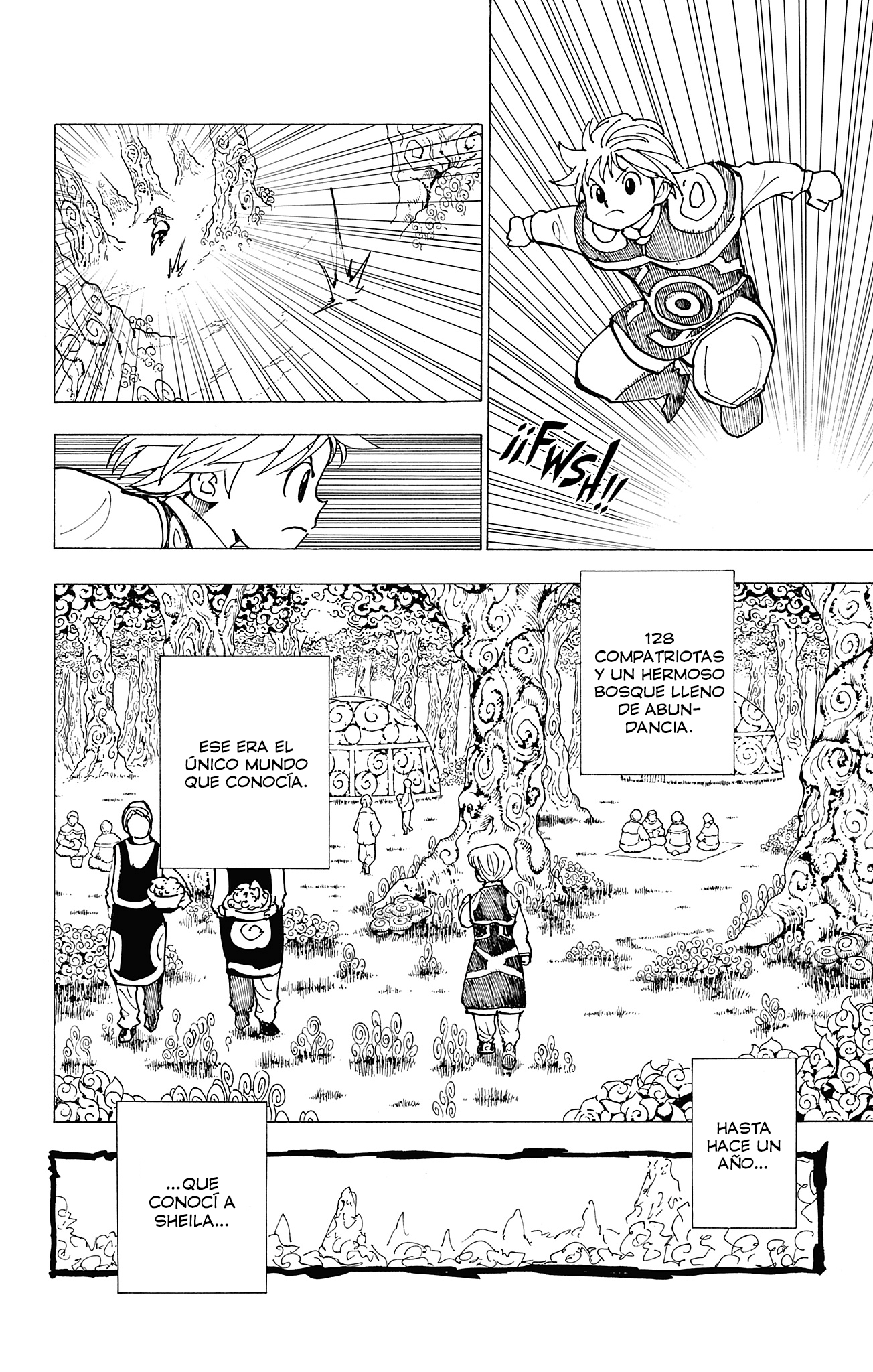 Hunter x Hunter Capítulo 416.5 - Page 9