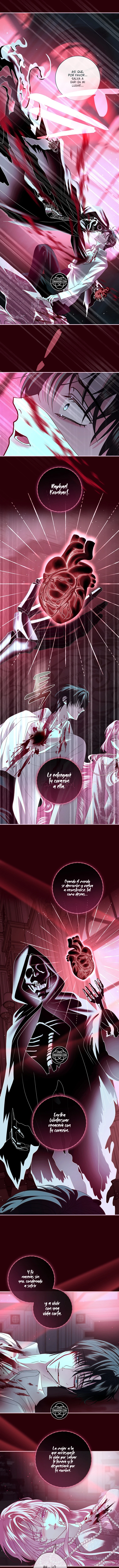 Hombre Oscuro, ¡Haré Todo Por Ti Excepto El Matrimonio! Capítulo 70 - Page 12