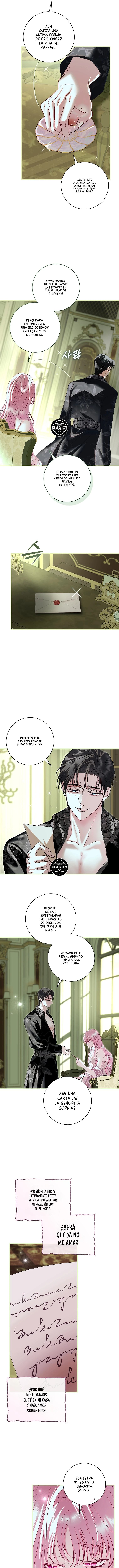 Hombre Oscuro, ¡Haré Todo Por Ti Excepto El Matrimonio! Capítulo 72 - Page 12