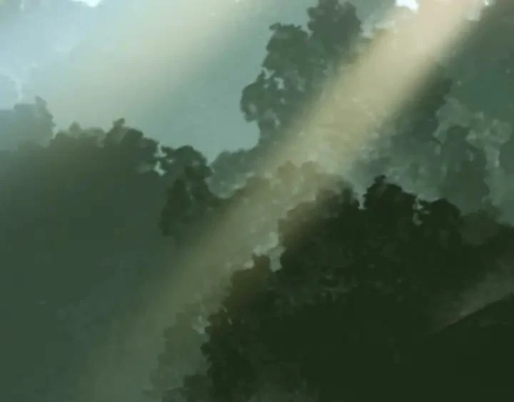 Emperador magico (magic emperor) Capítulo 1 - Page 74