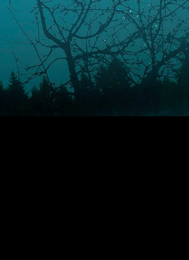 Ojos Nevados en una Noche Obscura Capítulo 166 - Page 35