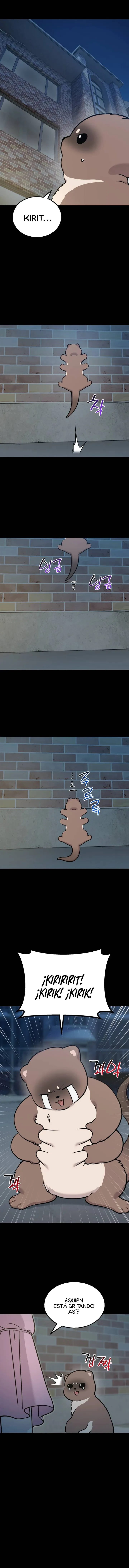 ¡Hola, Pequeño Grifo Peludo! Capítulo 52 - Page 12