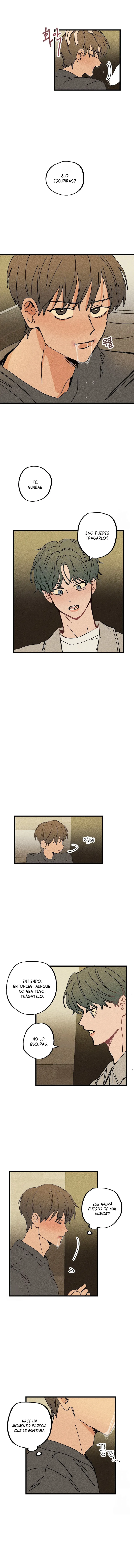 Señor fácil Capítulo 26 - Page 8