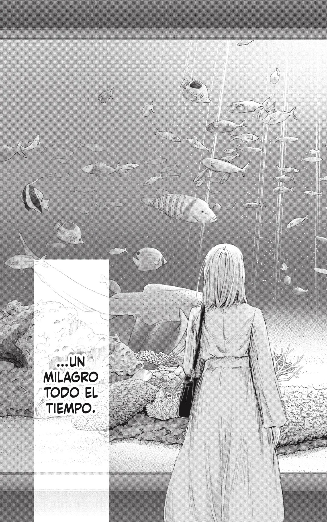 Blue Box Capítulo 235 - Page 13