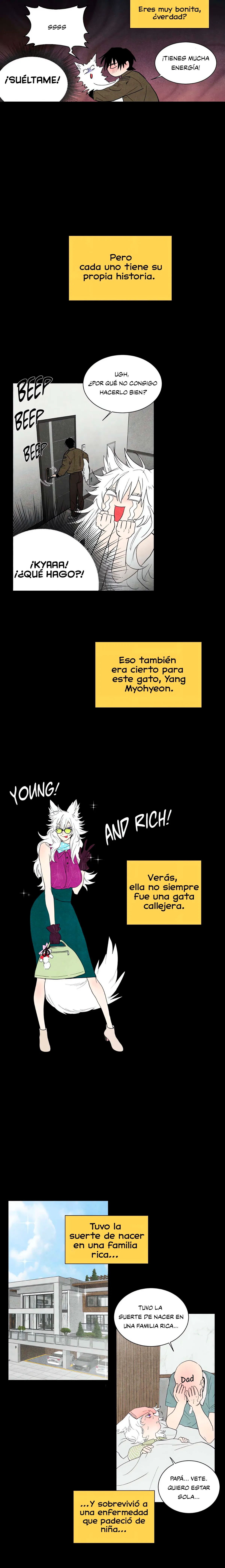 Házme ronronear Capítulo 1 - Page 6