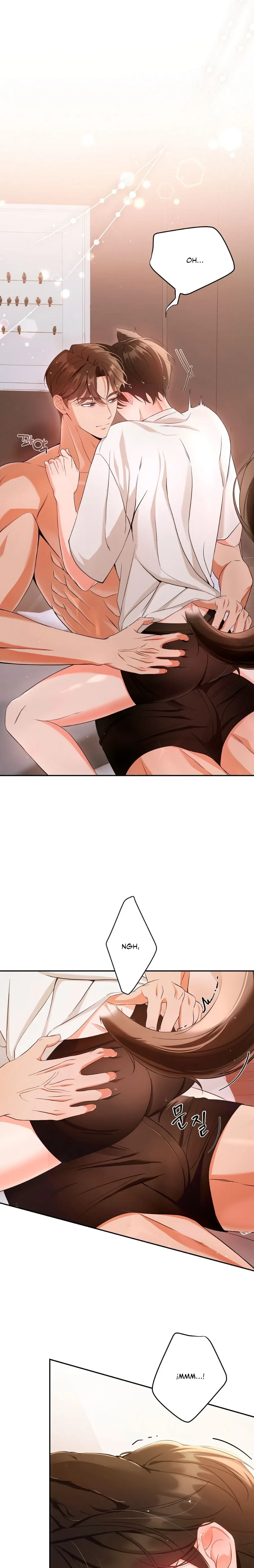 Terapia de gatos Capítulo 1 - Page 1