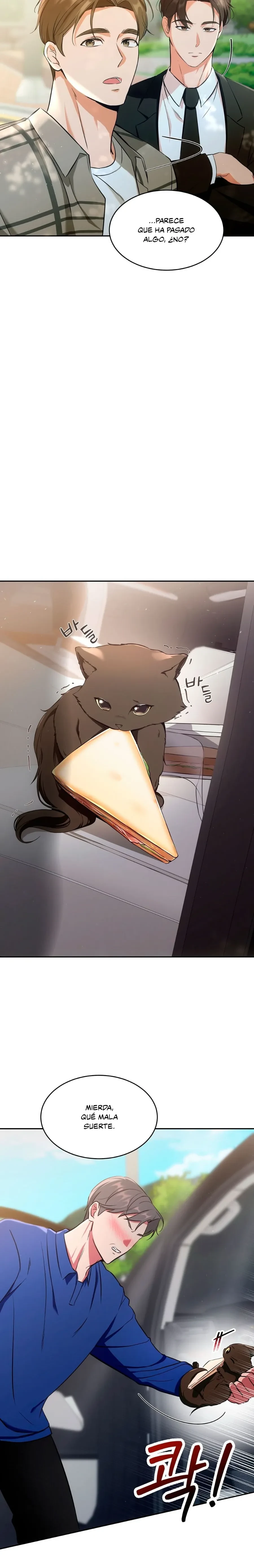 Terapia de gatos Capítulo 1 - Page 14