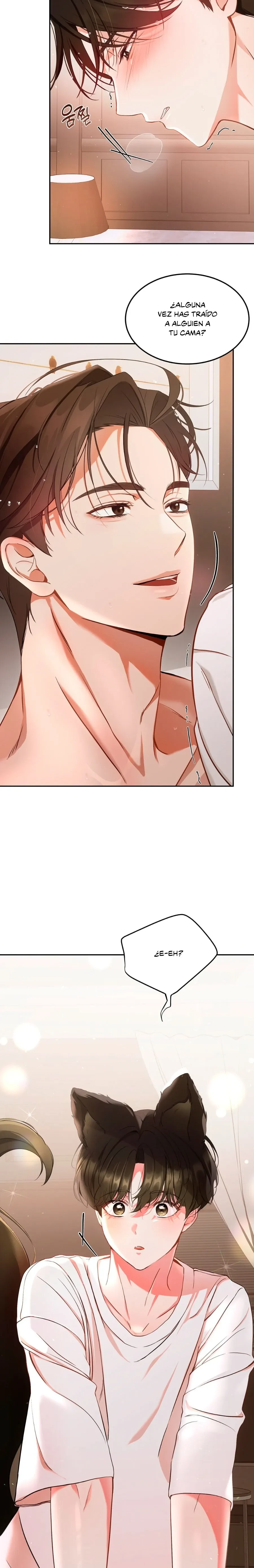 Terapia de gatos Capítulo 1 - Page 2