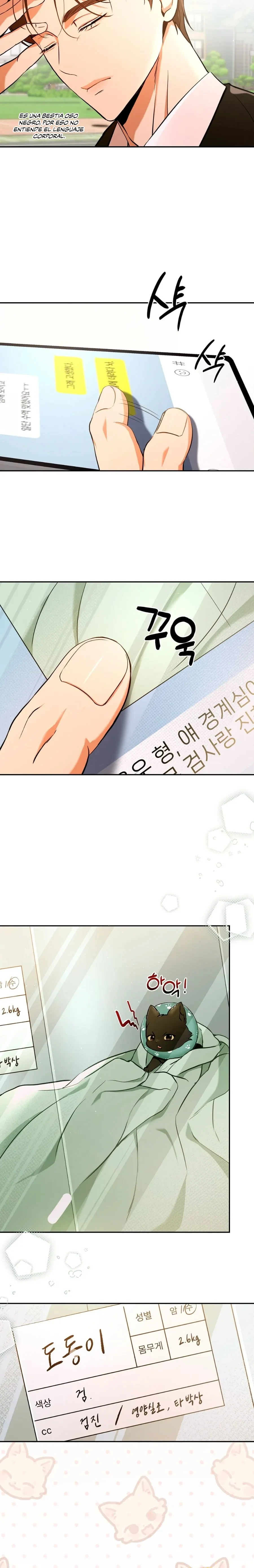 Terapia de gatos Capítulo 1 - Page 25