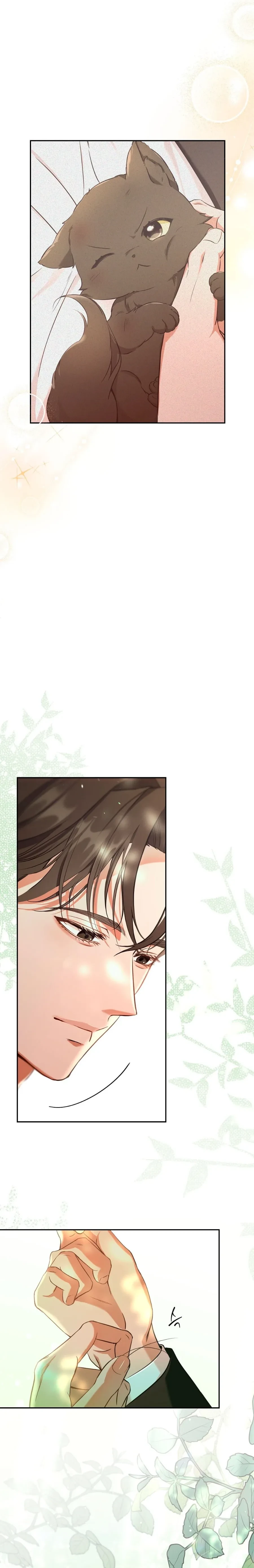 Terapia de gatos Capítulo 1 - Page 27