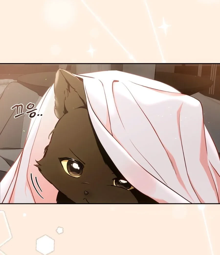 Terapia de gatos Capítulo 1 - Page 6