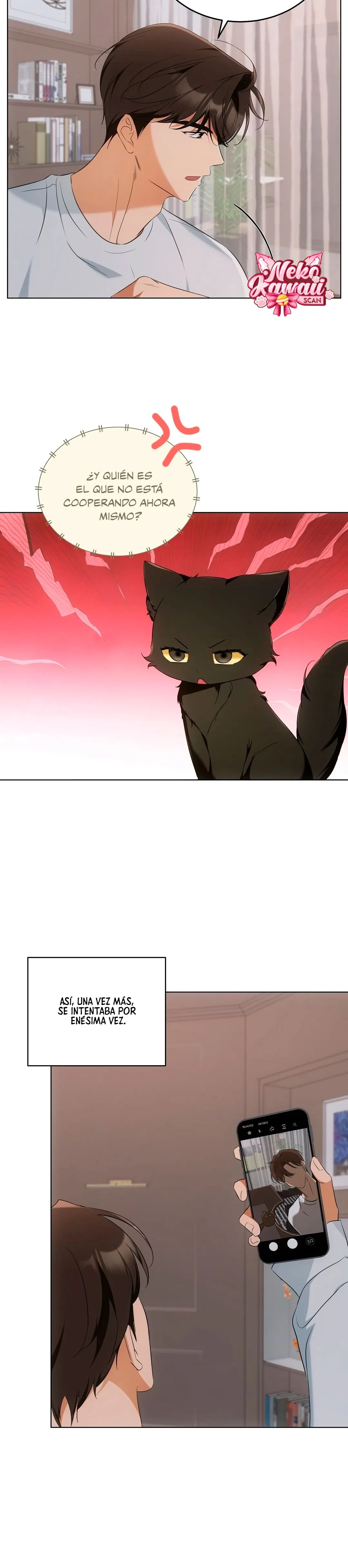 Terapia de gatos Capítulo 10 - Page 11