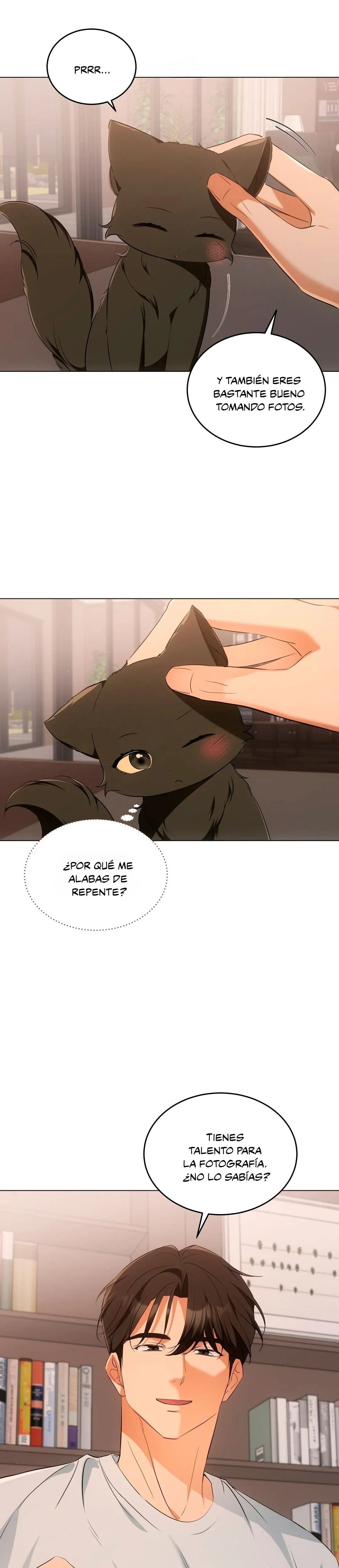 Terapia de gatos Capítulo 10 - Page 15