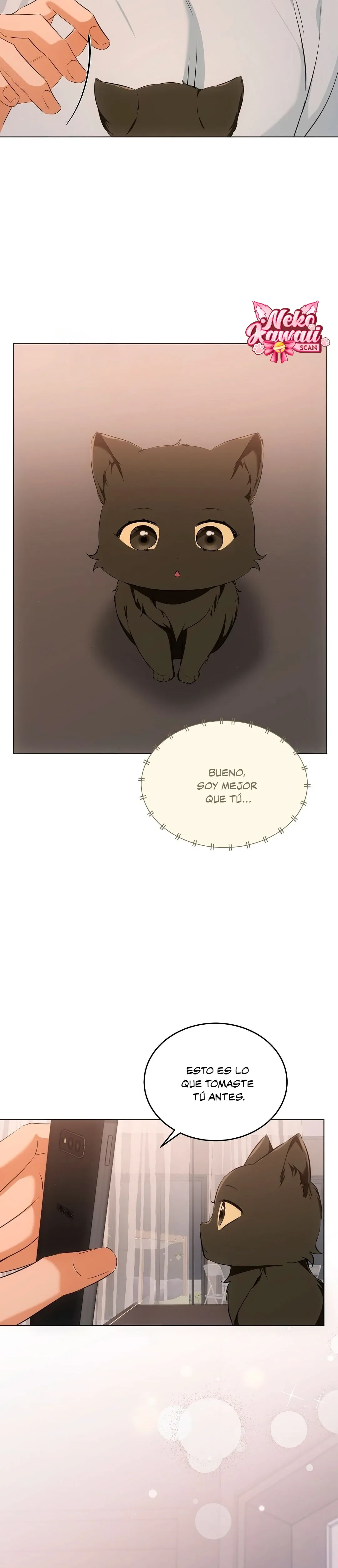 Terapia de gatos Capítulo 10 - Page 16