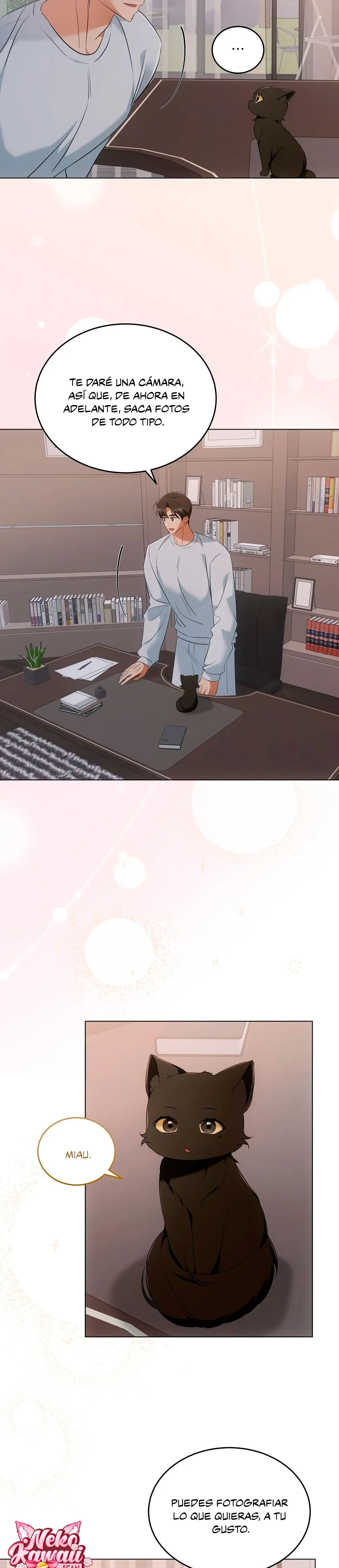 Terapia de gatos Capítulo 10 - Page 18