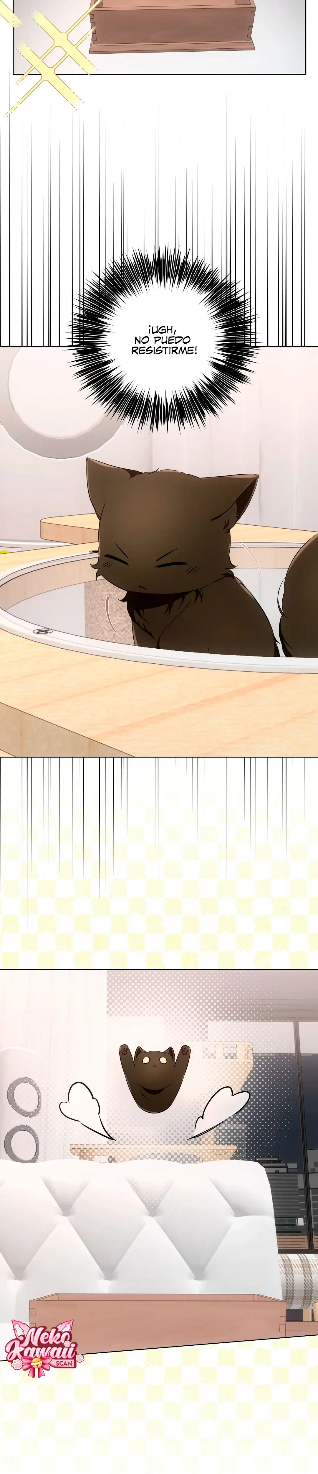 Terapia de gatos Capítulo 11 - Page 3