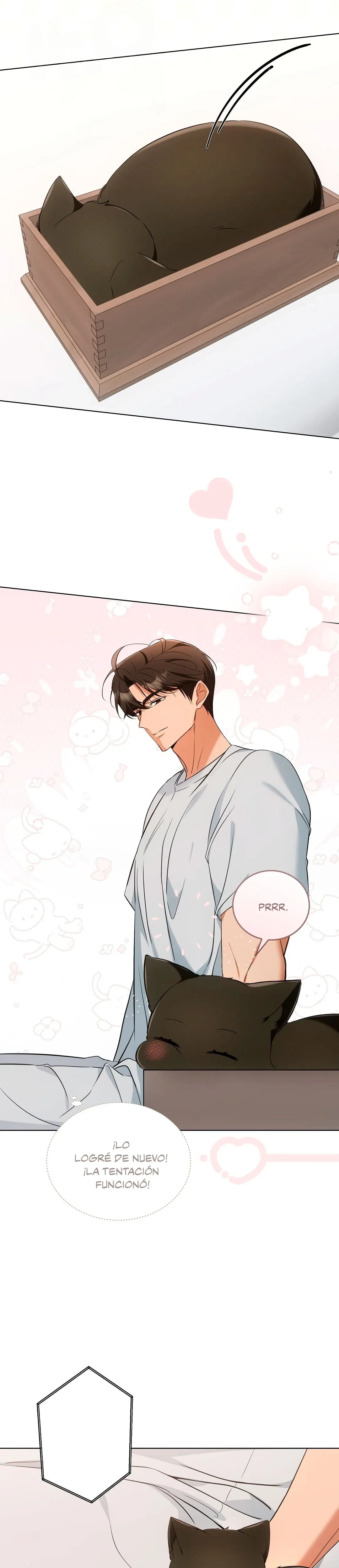 Terapia de gatos Capítulo 11 - Page 4