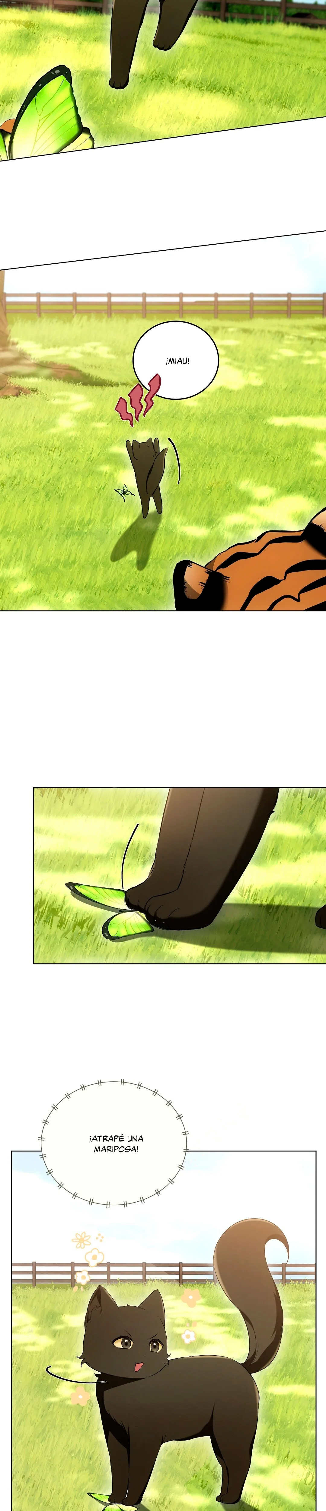 Terapia de gatos Capítulo 12 - Page 12