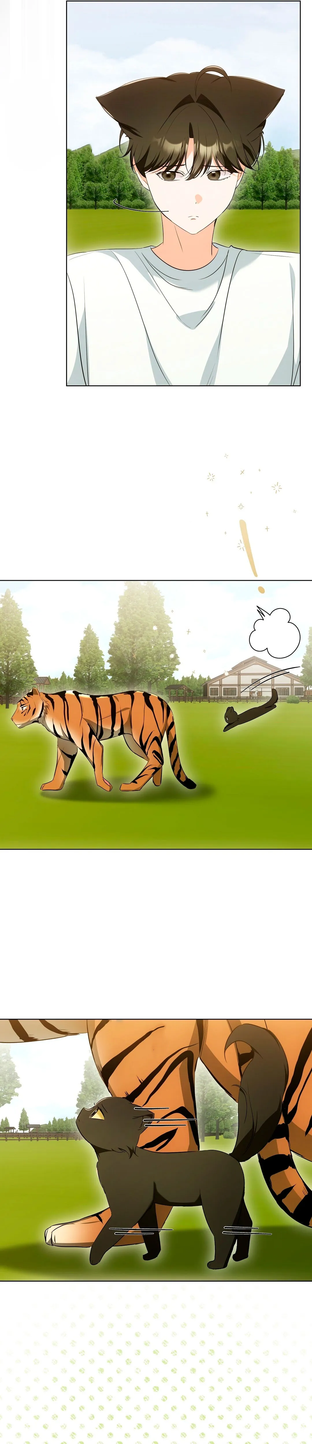 Terapia de gatos Capítulo 12 - Page 6