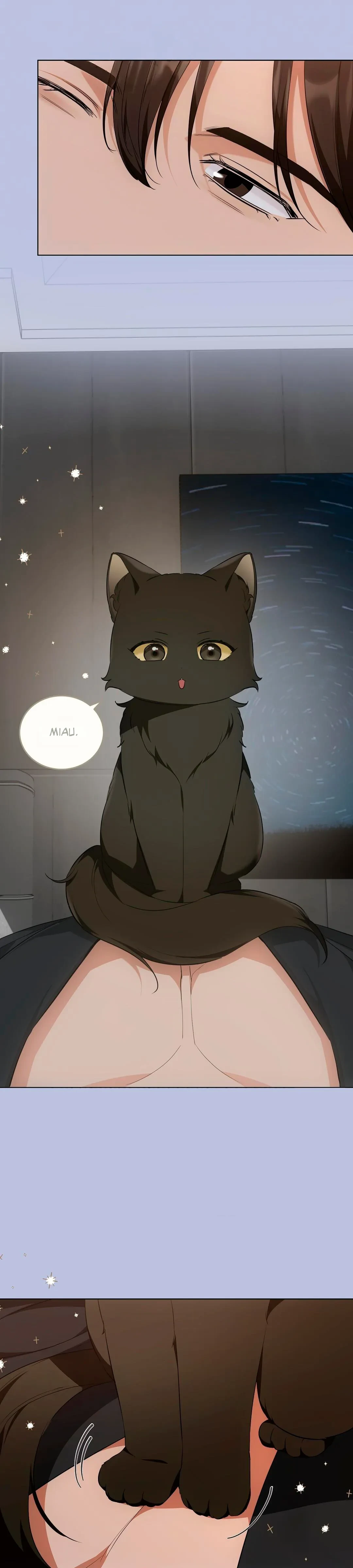 Terapia de gatos Capítulo 14 - Page 22