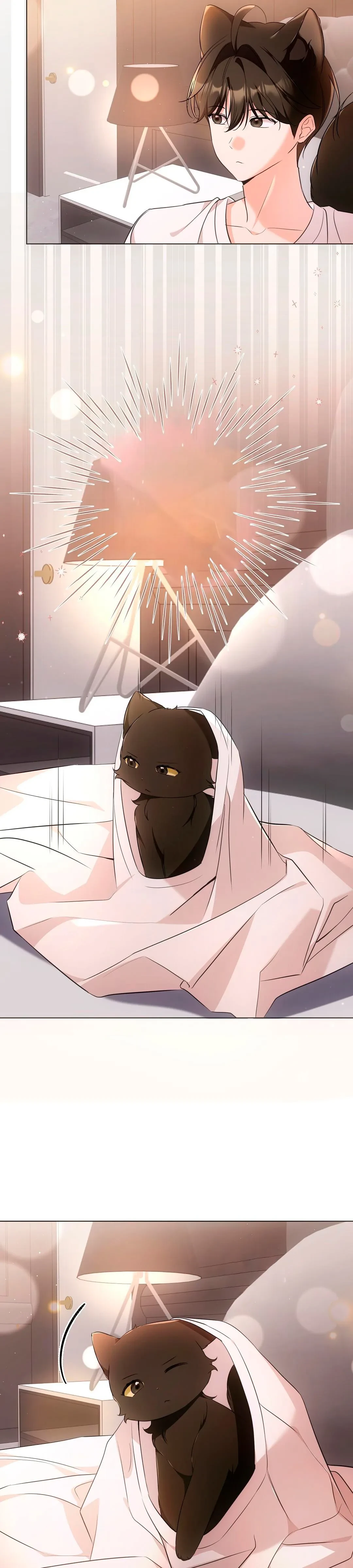 Terapia de gatos Capítulo 18 - Page 16