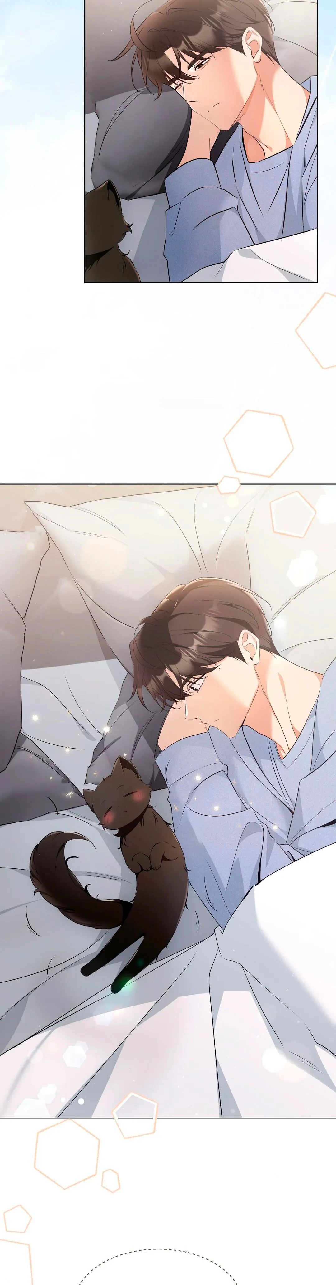 Terapia de gatos Capítulo 18 - Page 20