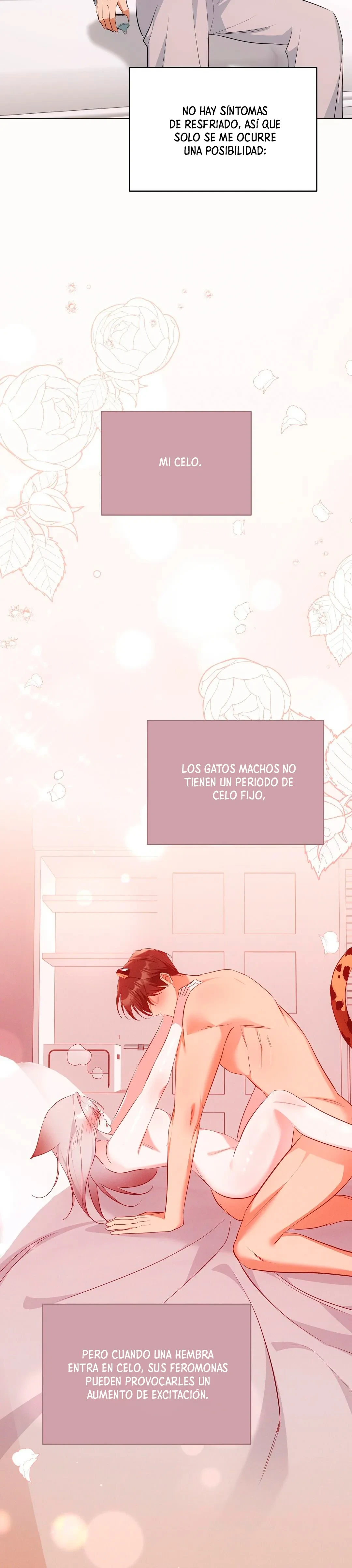 Terapia de gatos Capítulo 18 - Page 23