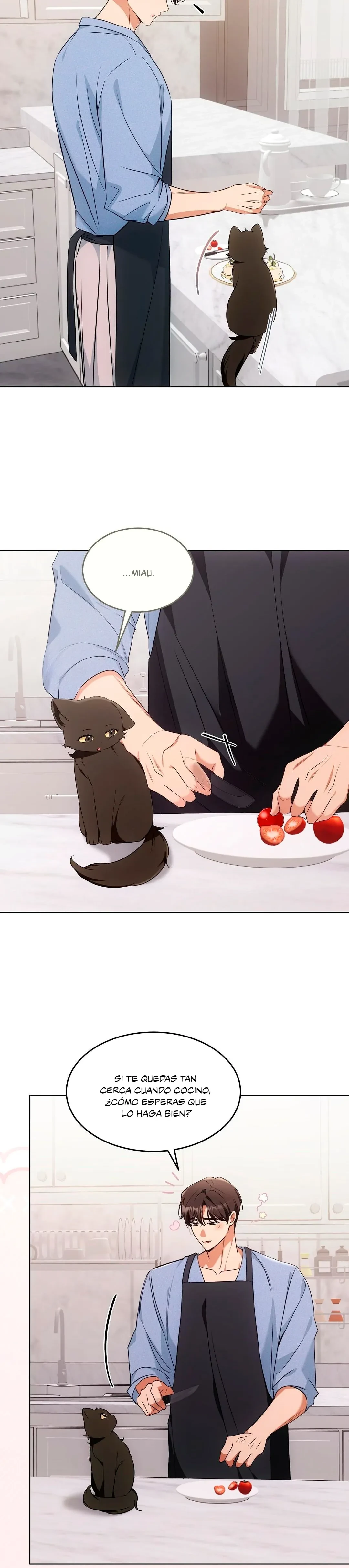 Terapia de gatos Capítulo 19 - Page 4