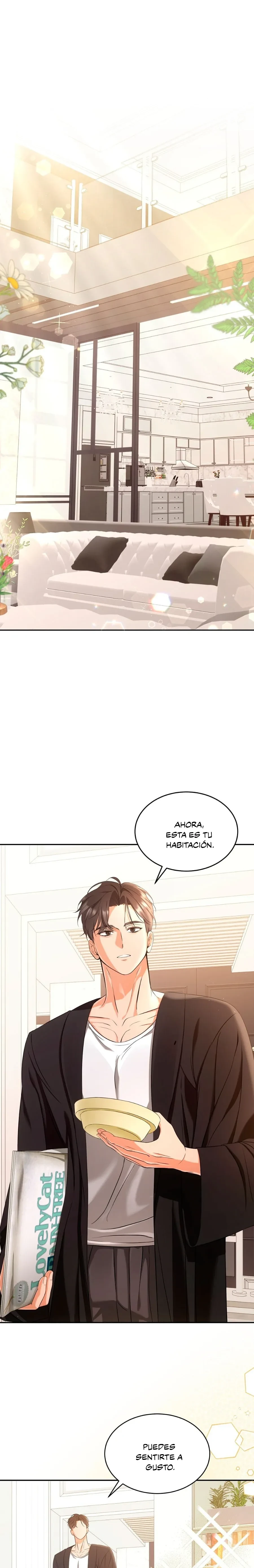 Terapia de gatos Capítulo 2 - Page 1