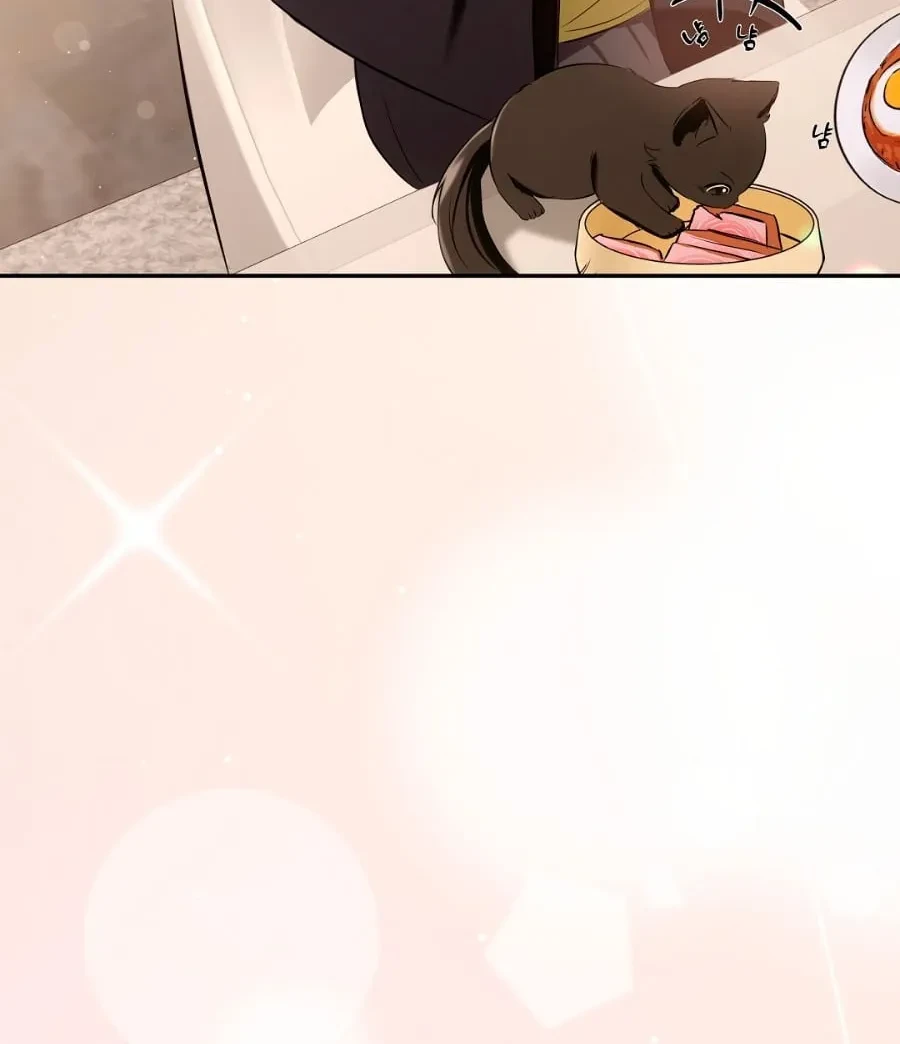 Terapia de gatos Capítulo 2 - Page 12