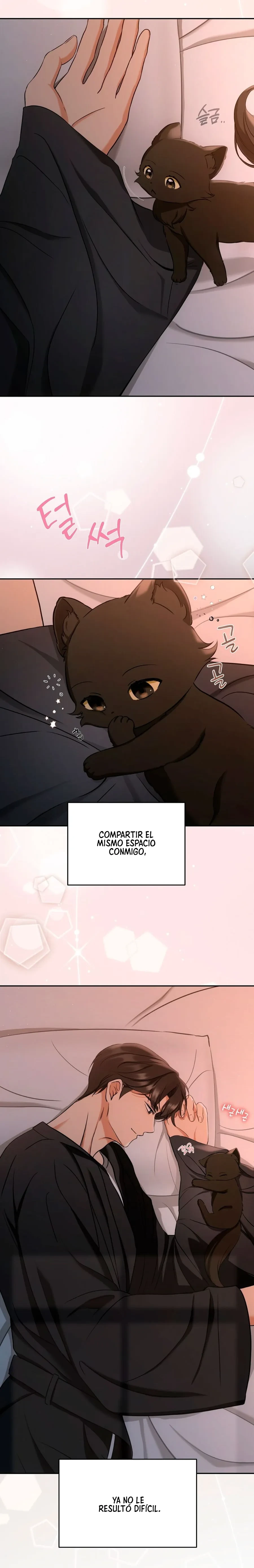 Terapia de gatos Capítulo 2 - Page 13