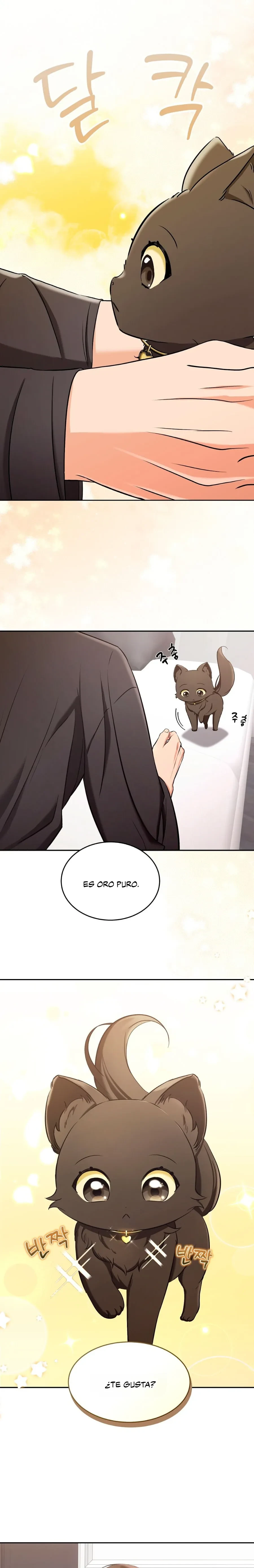 Terapia de gatos Capítulo 2 - Page 17