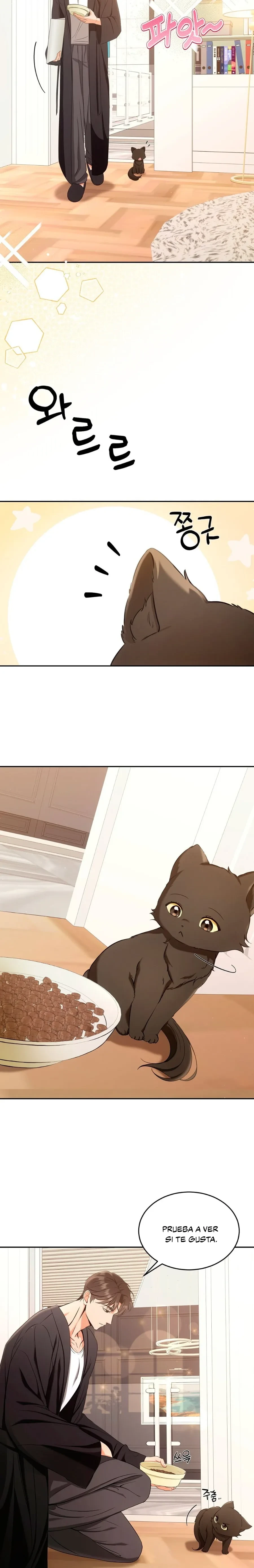 Terapia de gatos Capítulo 2 - Page 2