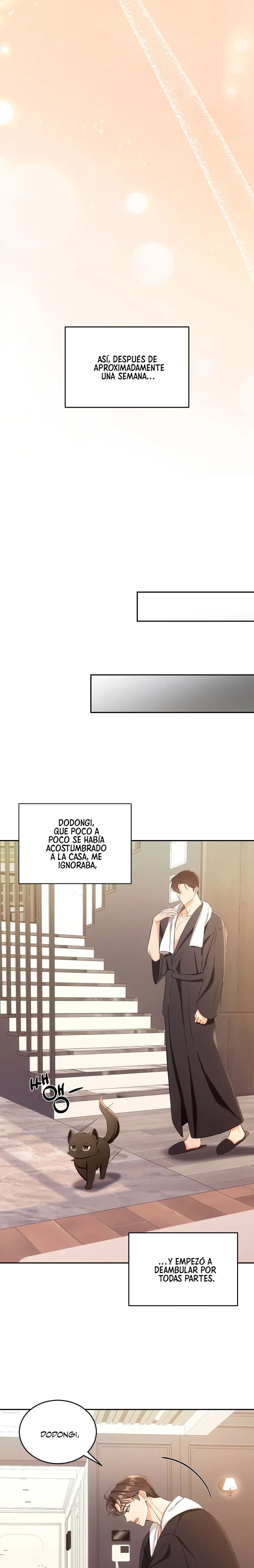 Terapia de gatos Capítulo 2 - Page 8