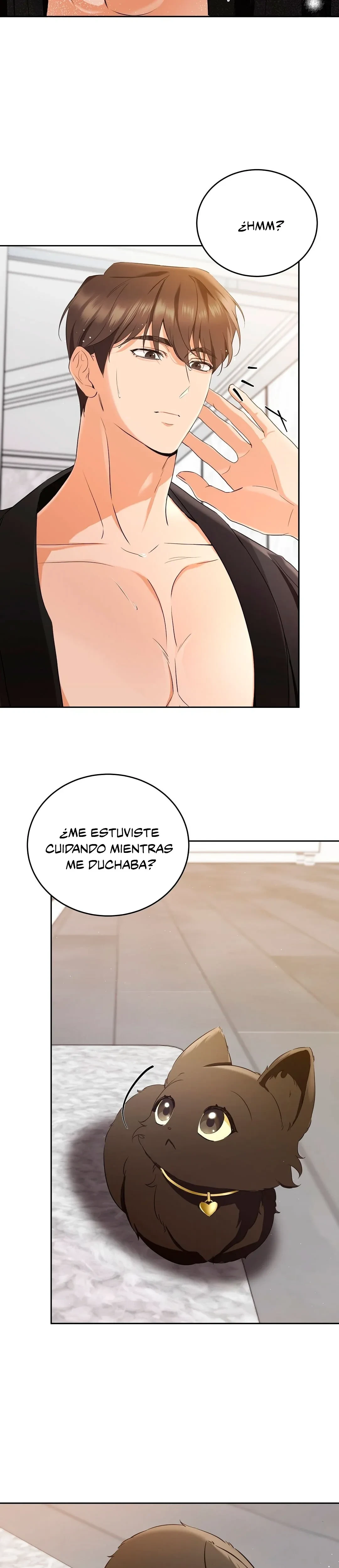 Terapia de gatos Capítulo 3 - Page 3