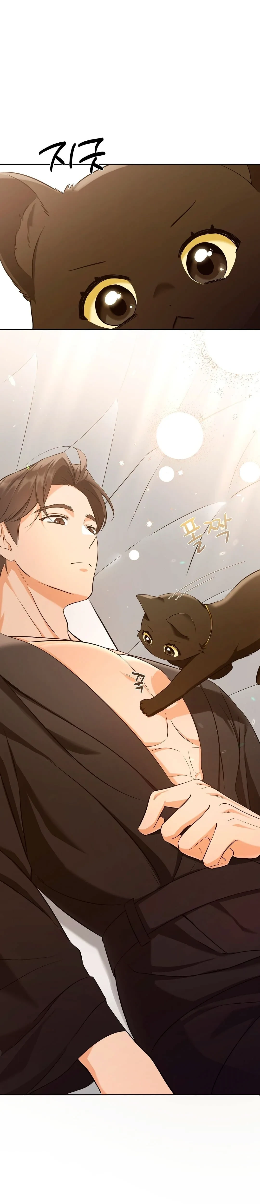 Terapia de gatos Capítulo 3 - Page 8