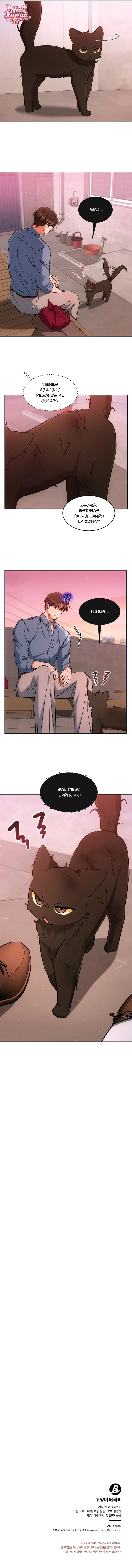 Terapia de gatos Capítulo 32 - Page 12