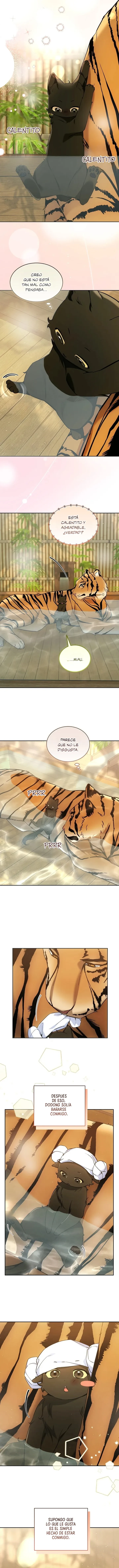 Terapia de gatos Capítulo 35 - Page 8